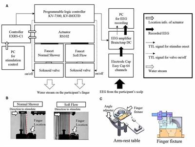 The Shape of Water Stream Induces Differences in P300 and Alpha Oscillation